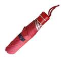 RC 10 Rupa Red