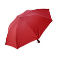 RC 2 Rossy Red